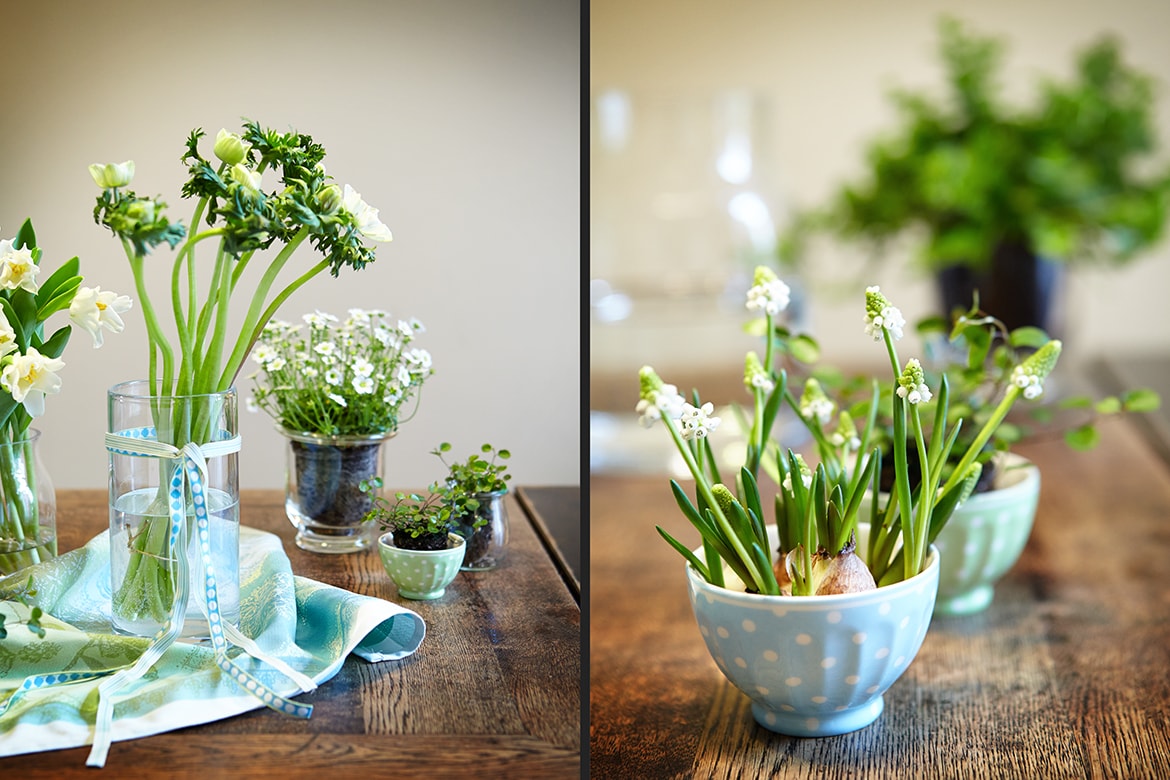 Interiorfotografie_photodesign michael loeffler_Grünpflanzen auf Tisch-min